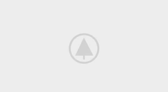 wood-portfolio-placeholder wood-portfolio-placeholder